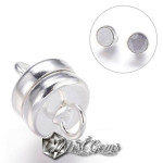 Inchizatoare magnetica alama argintie 11X7mm