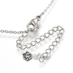 Colier Inox cu Pandant cu Cubic Zirconia Argintiu