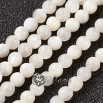 Margele din Scoica de Apa Dulce,Sfere,3mm,Alb-50 buc