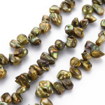 Perle de cultura "Keshi"-8~17x6~12x3~7~8,Oliv-Auriu-1 sir