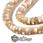 Sir Discuri din Melc Trochus, 5X1-2mm,Crem-Bej-20cm