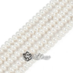 Rondele din Scoica de Apa Dulce,5X3mm,Alb-20 buc