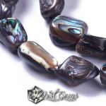 Margele din scoica Abalone/Paua 10~19x9~14x5~8mm,1 sir
