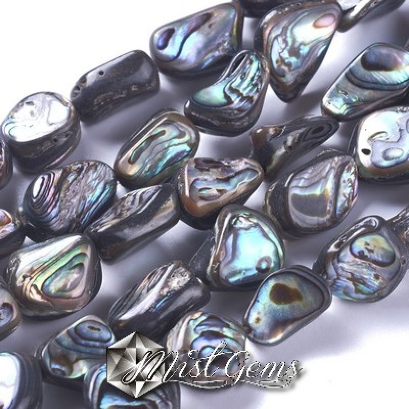Margele din scoica Abalone/Paua 10~19x9~14x5~8mm,1 sir