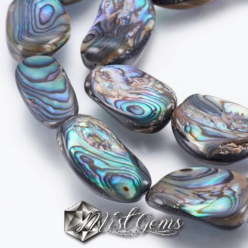 Margele din scoica Abalone/Paua 17~32x10~16x4~7mm,1 sir
