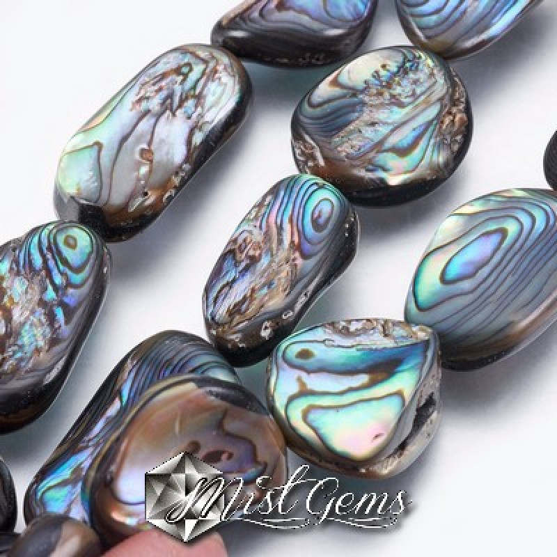 Margele din scoica Abalone/Paua 17~32x10~16x4~7mm,1 sir