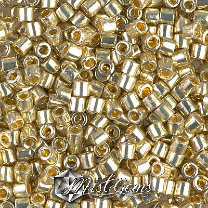 Delica 8/0 DBL 1831 Duracoat Galvanized Silver-20gr